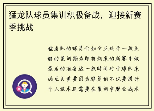 猛龙队球员集训积极备战，迎接新赛季挑战