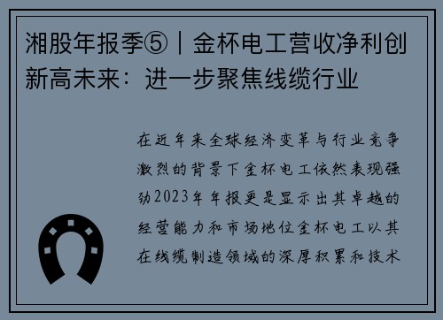 湘股年报季⑤｜金杯电工营收净利创新高未来：进一步聚焦线缆行业